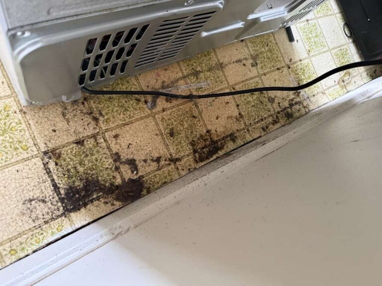 Central Maine Pest Services