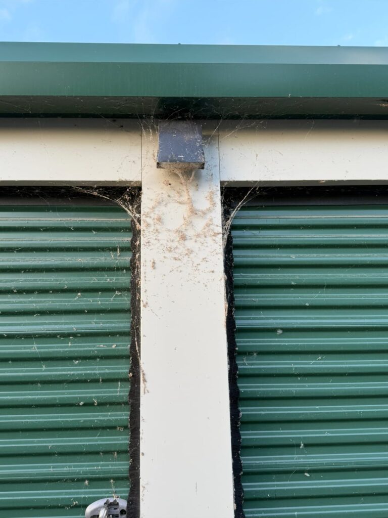 Spider webs built along a storage unit door frame in Waterville, Maine